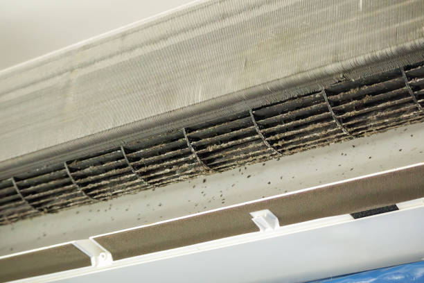 Best Best Air Duct Cleaning Near Me  in Iselin, NJ
