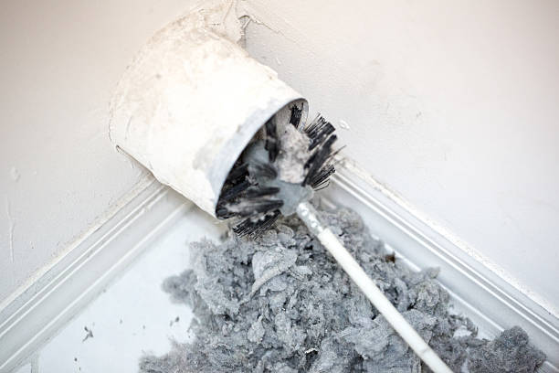 Best Home Air Vent Cleaning  in Iselin, NJ